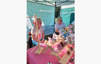 Retour sur la marche contre le cancer