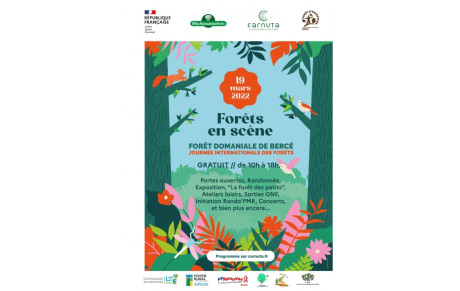 Journée internationale des forêts
