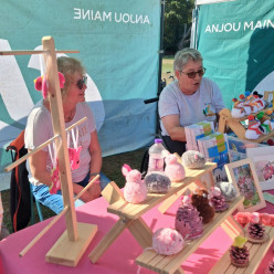 Retour sur la marche contre le cancer